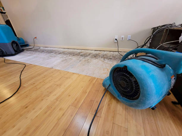 Professional Ceiling Water Damage Repair technician working in Campbell, OH