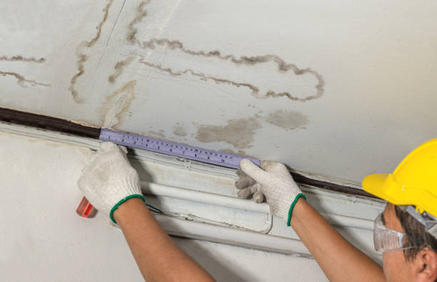 Affordable Ceiling Water Damage Repair solutions in Campbell, OH